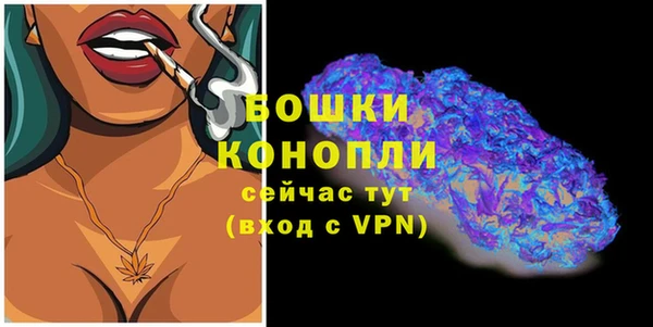 прущие грибы Белоозёрский
