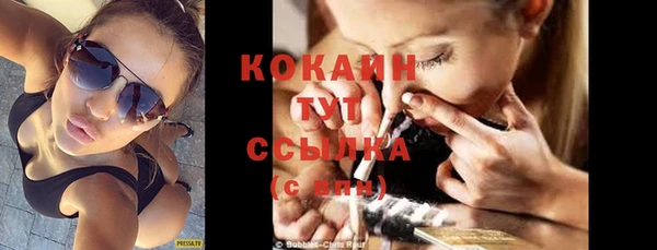 прущие грибы Белоозёрский