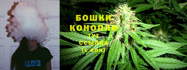 амф Белокуриха