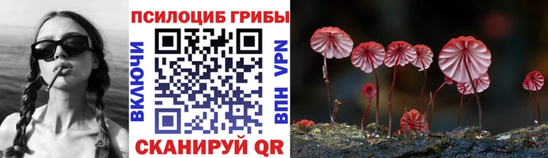 Галлюциногенные грибы прущие грибы Высоковск